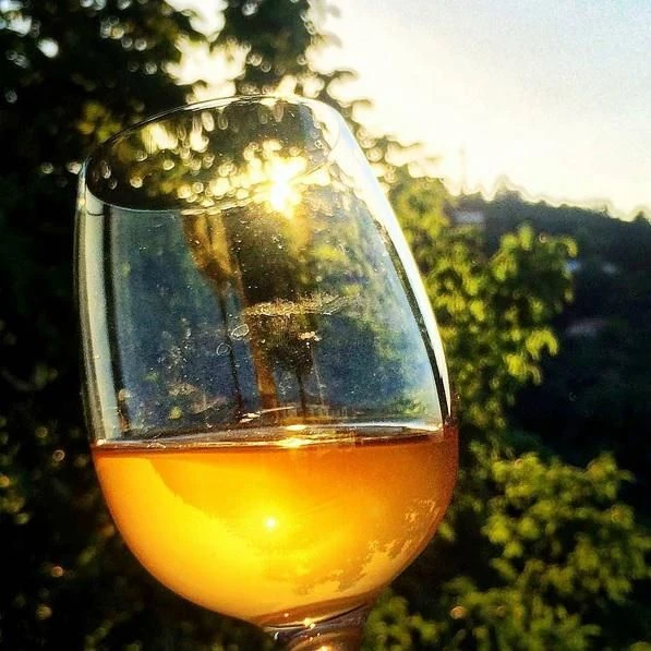 LE VIN ORANGE, quésaco ?