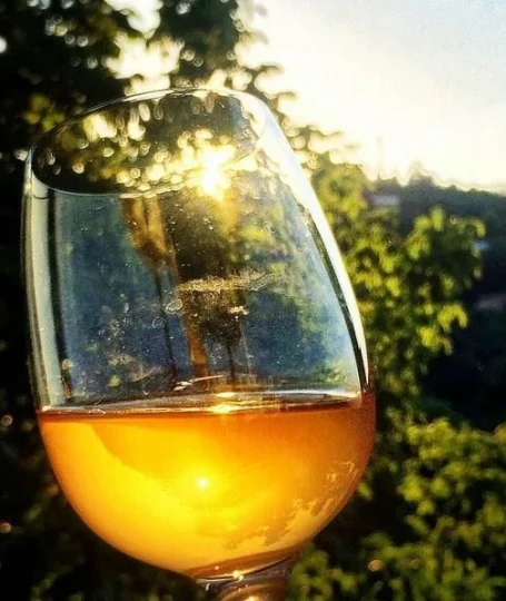 LE VIN ORANGE, quésaco ?